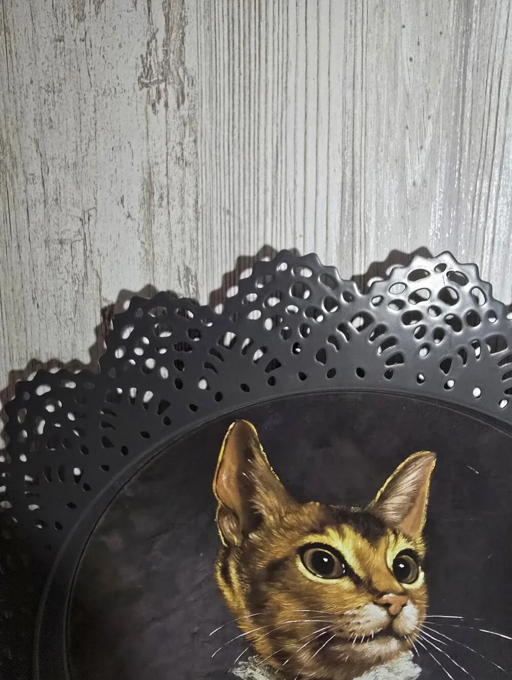 RARE Thierry Poncelet Limited IKEA Exclusive SKURAR Victorian Cat Portrait